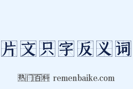 片文只字反义词是什么意思的图片